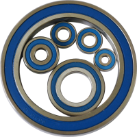 SS6000 Series deep groove ball bearings