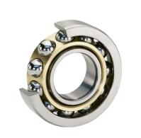 Stainless steel angular contact bearings